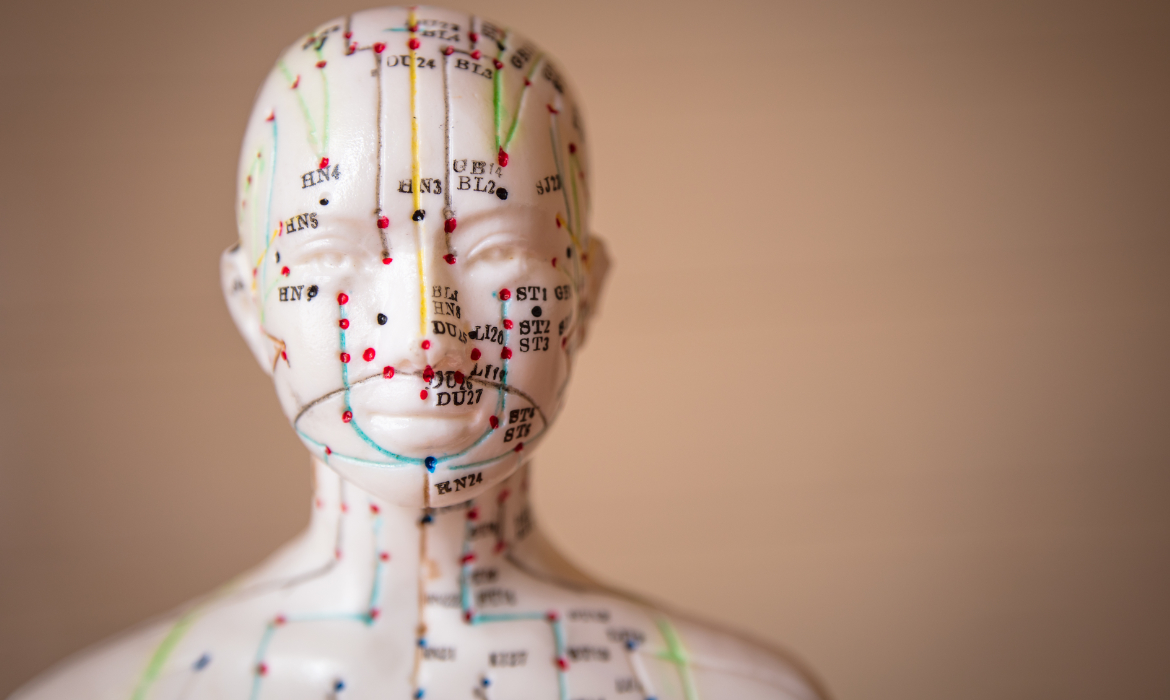 Préparation pour l'hiver